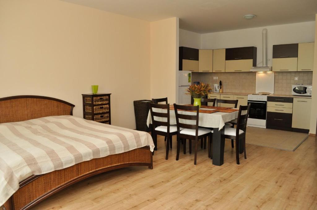 Tisza Palota Apartmanok Segedin Oda fotoğraf