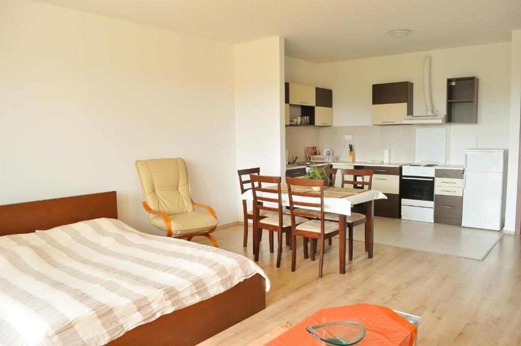 Tisza Palota Apartmanok Segedin Oda fotoğraf
